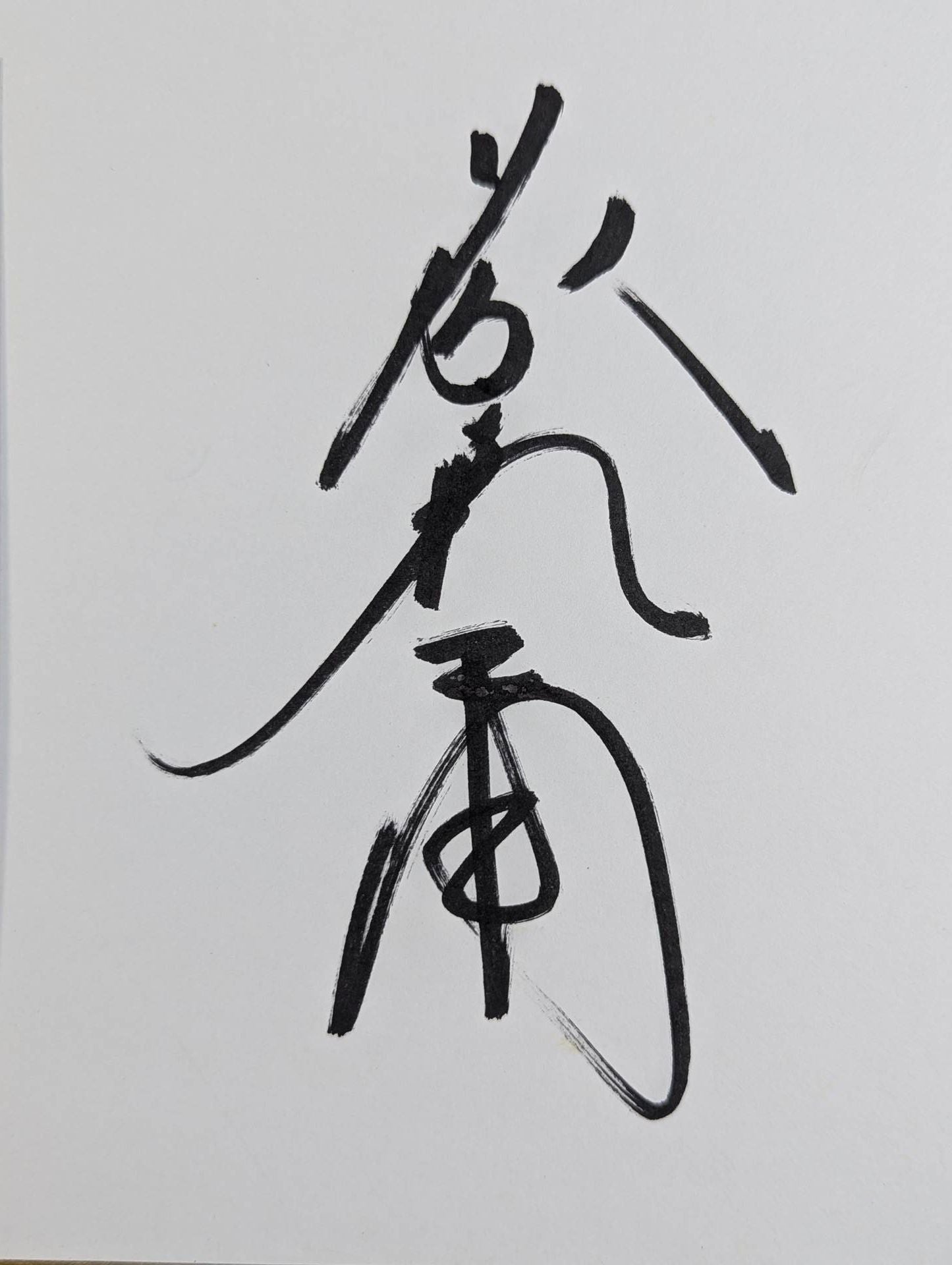 Tatsumi Fujinami &Vader ( photo paste)