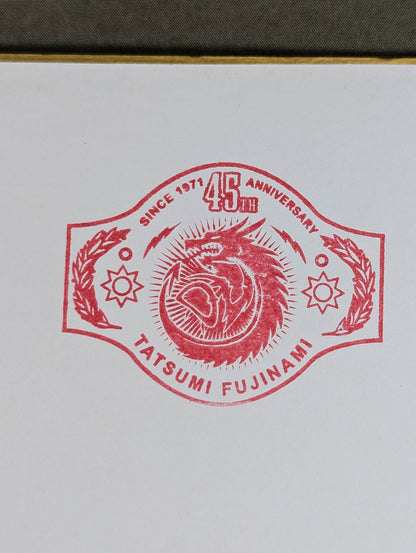 Tatsumi Fujinami &Vader ( photo paste)