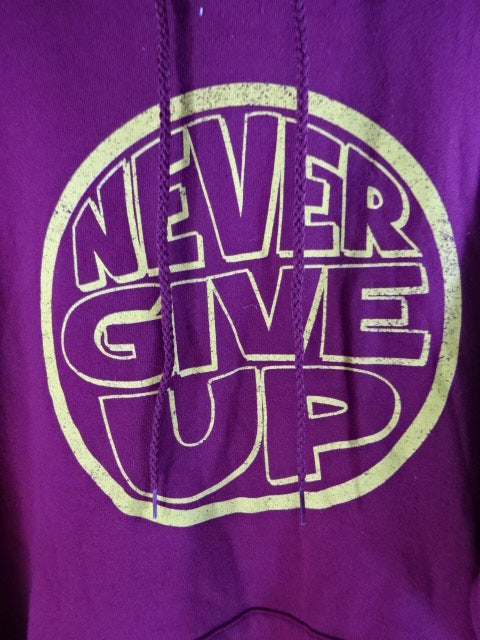 John Cena  Pullover Hoodie  (5) (WWE (2014) / Engji)