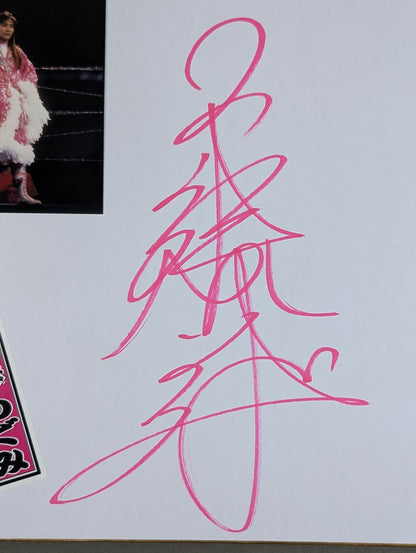 Megumi Kudo  (photo Sensha bill Sticker)