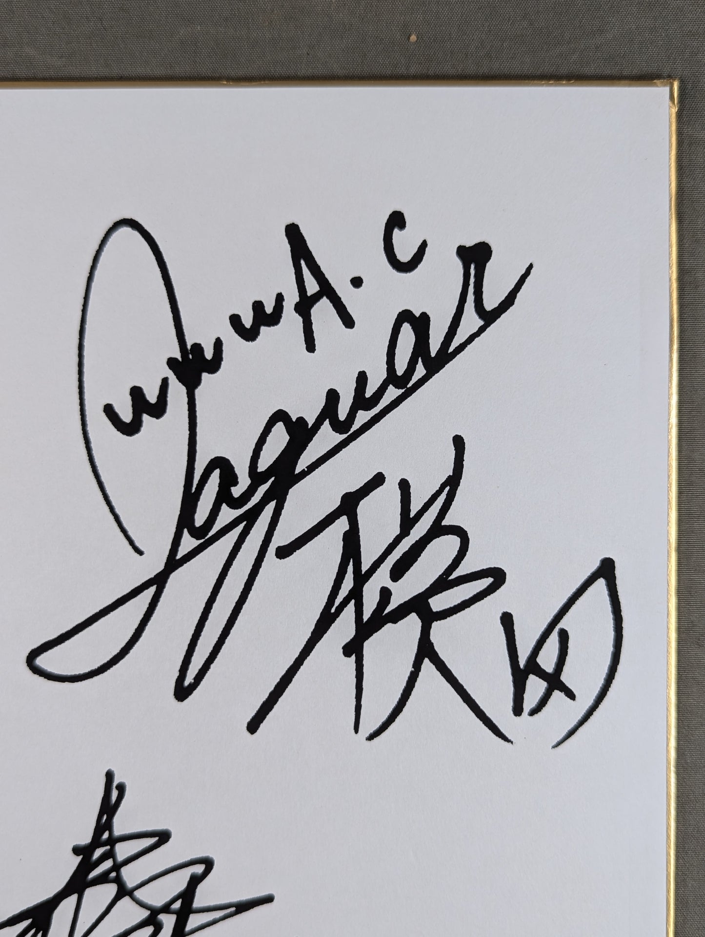 Jaguar Yokota & Masami Devil Autograph is printed (photo attached)