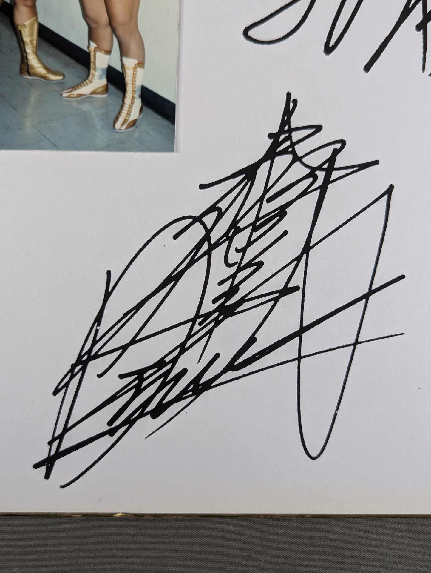 Jaguar Yokota & Masami Devil Autograph is printed (photo attached)