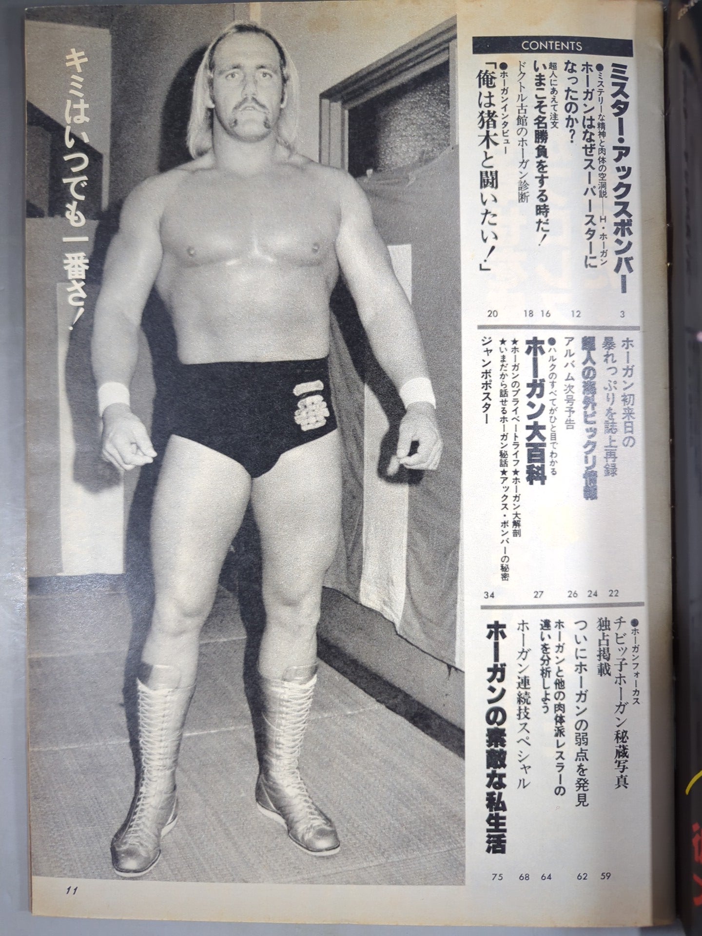 Pro Wrestling  Album 40 Best Hulk Hogan 