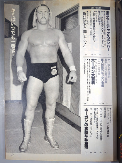 Pro Wrestling  Album 40 Best Hulk Hogan 