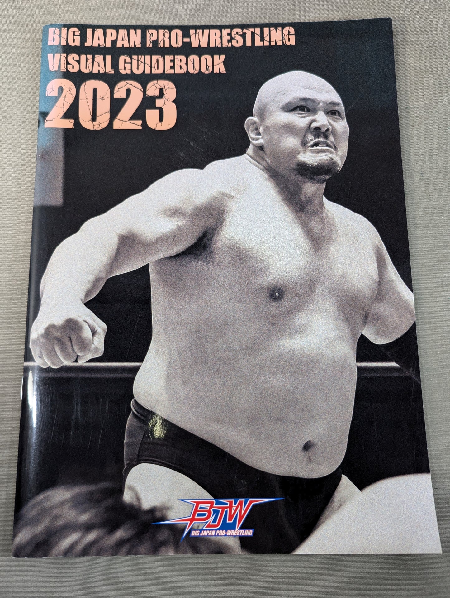 【4選手直筆サイン入り】大日本プロレス ビジュアルガイドブック2023