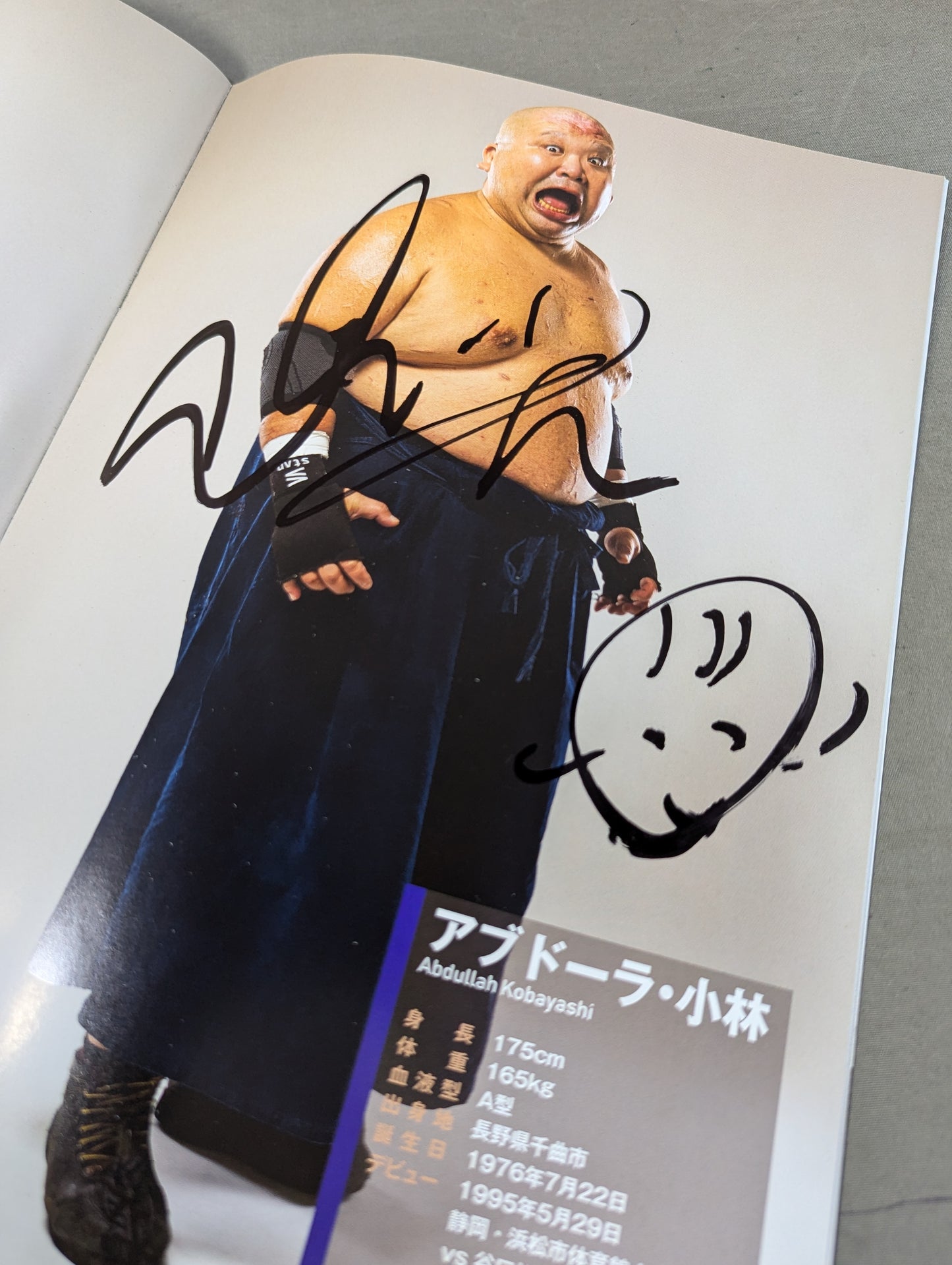 【4選手直筆サイン入り】大日本プロレス ビジュアルガイドブック2023