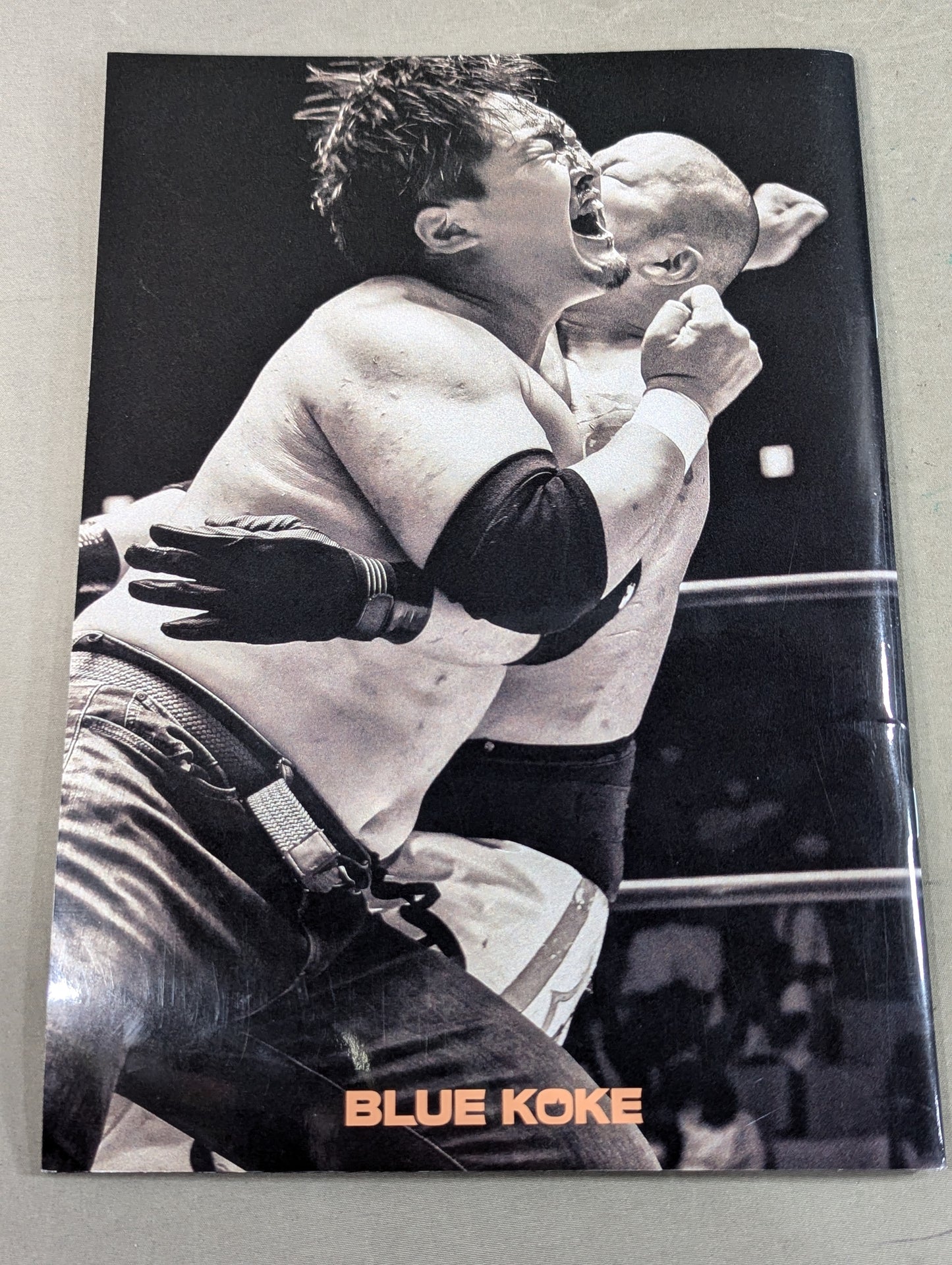 【4選手直筆サイン入り】大日本プロレス ビジュアルガイドブック2023