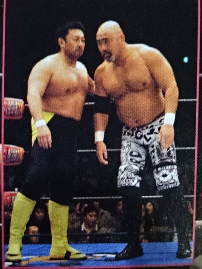 ★Muto Keiji 2006 Real World Tag League League worn by him ★