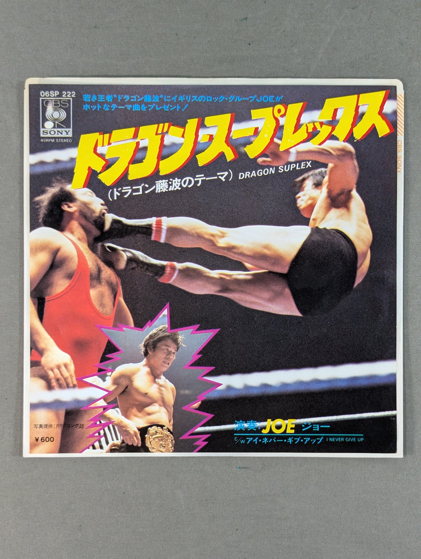 Dragon Suplex (Dragon Fujinami theme)