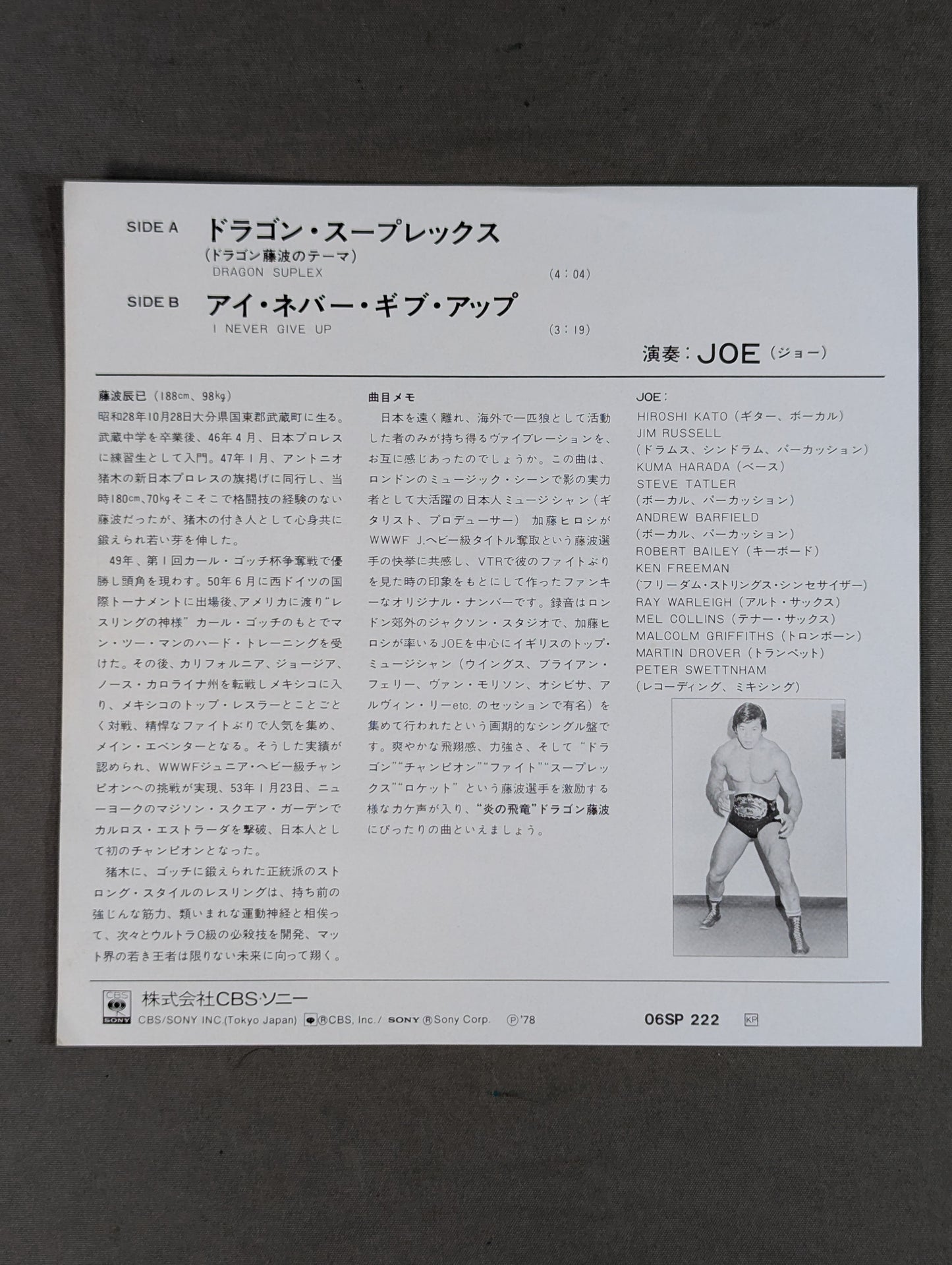 Dragon Suplex (Dragon Fujinami theme)