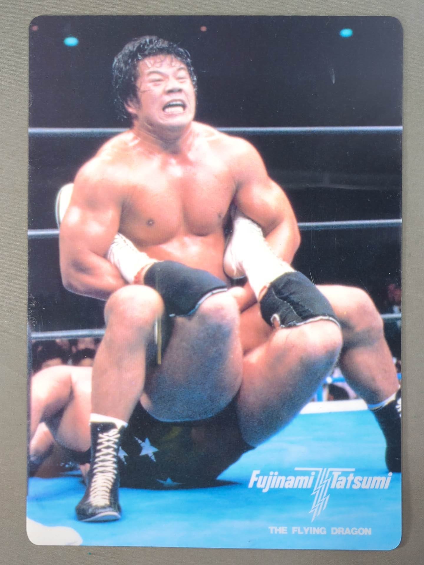 藤波辰巳 下敷き