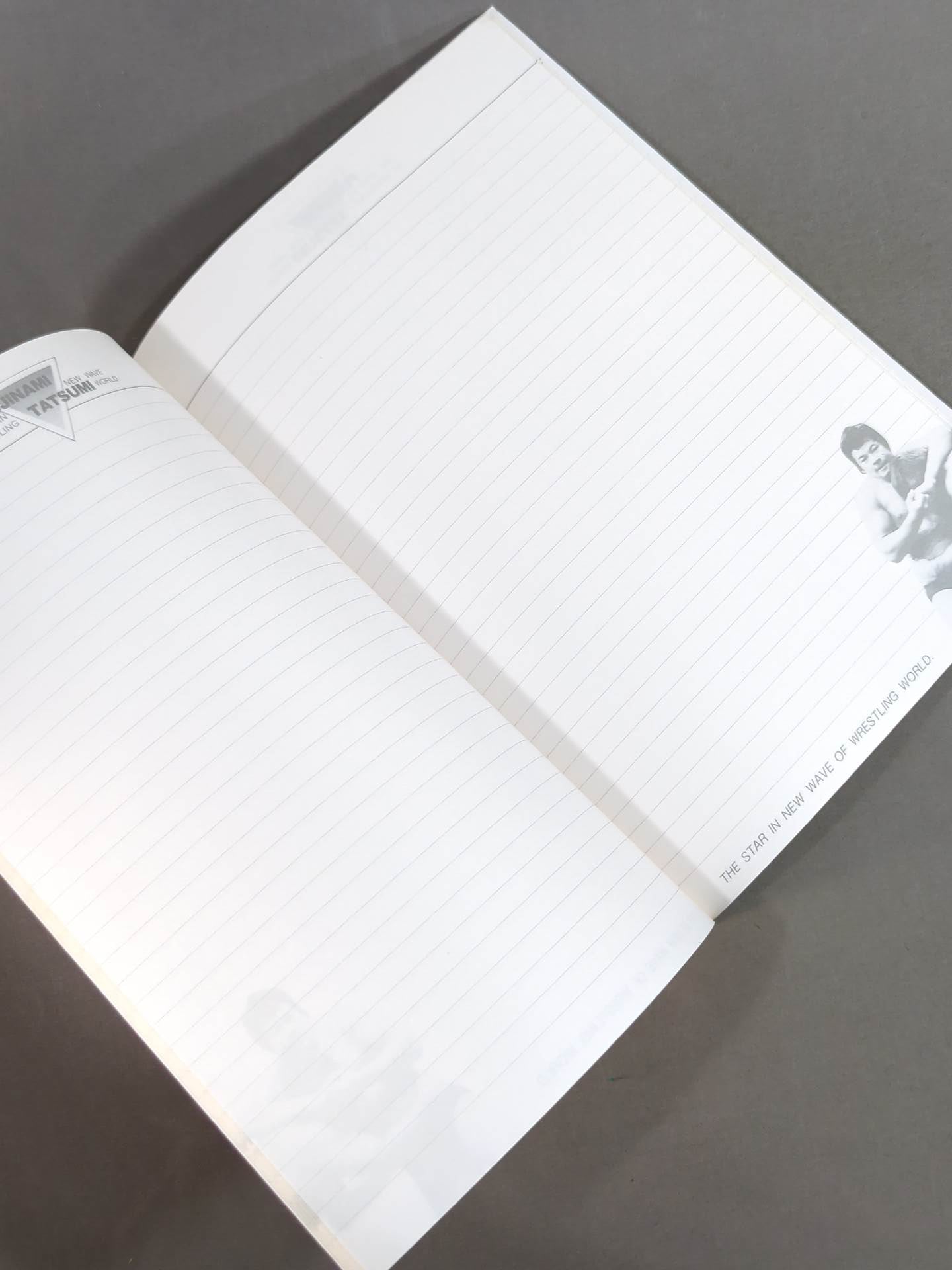 藤波辰巳 ノート