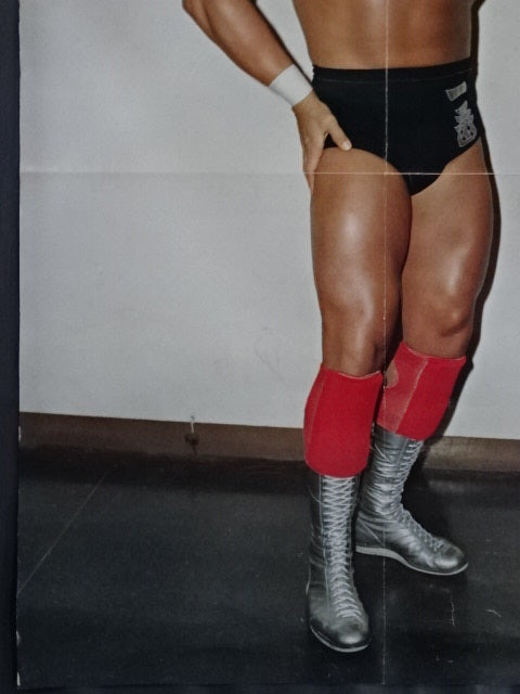 ハルク・ホーガン ポスター①