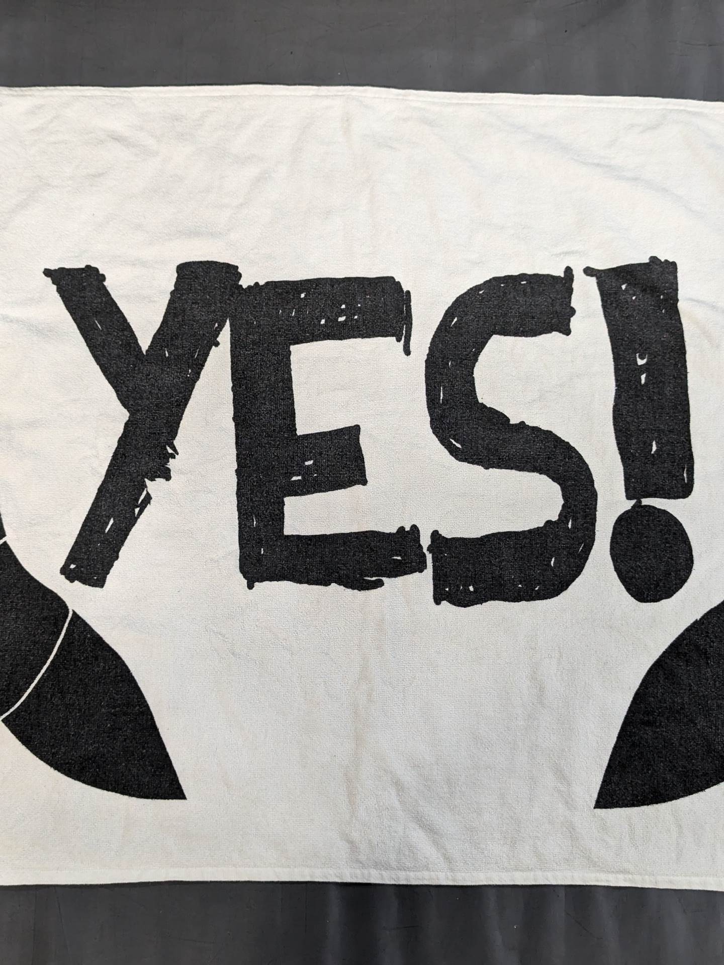 Daniel Bryan Bath Towels(1)