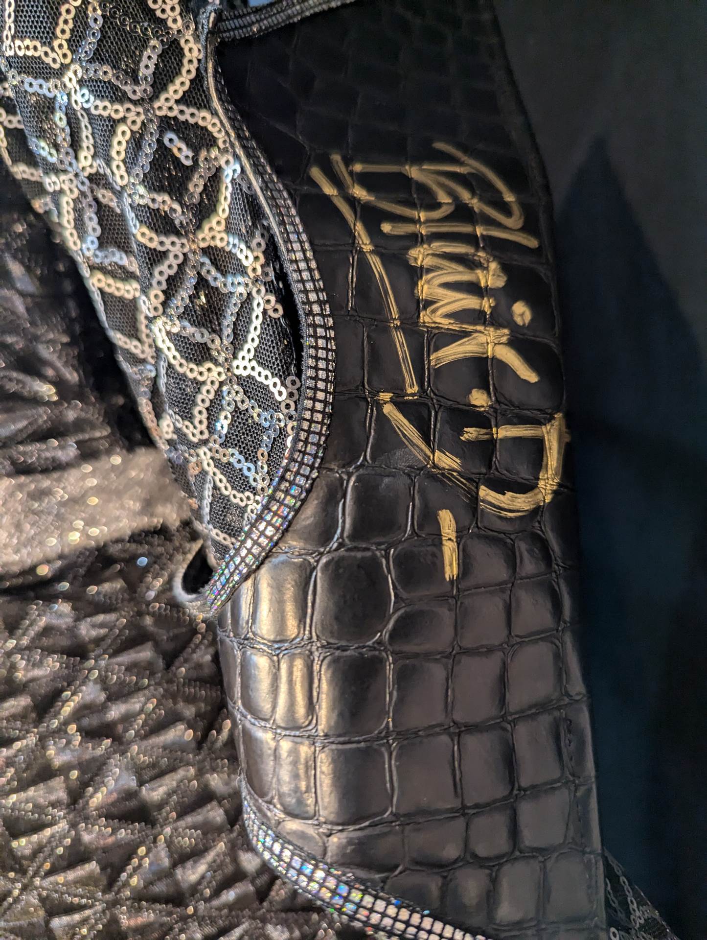 Blair Davenport (Bea Priestley ) ★WWE worn by him BlacK Gown ★