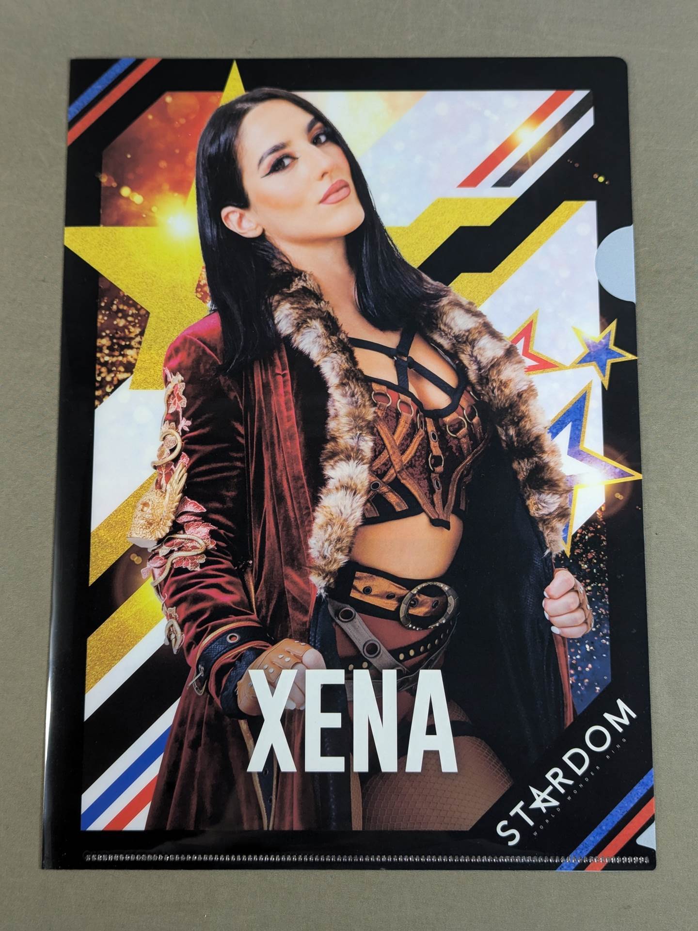 Gina 5★STAR GP 2024 plastic file folder