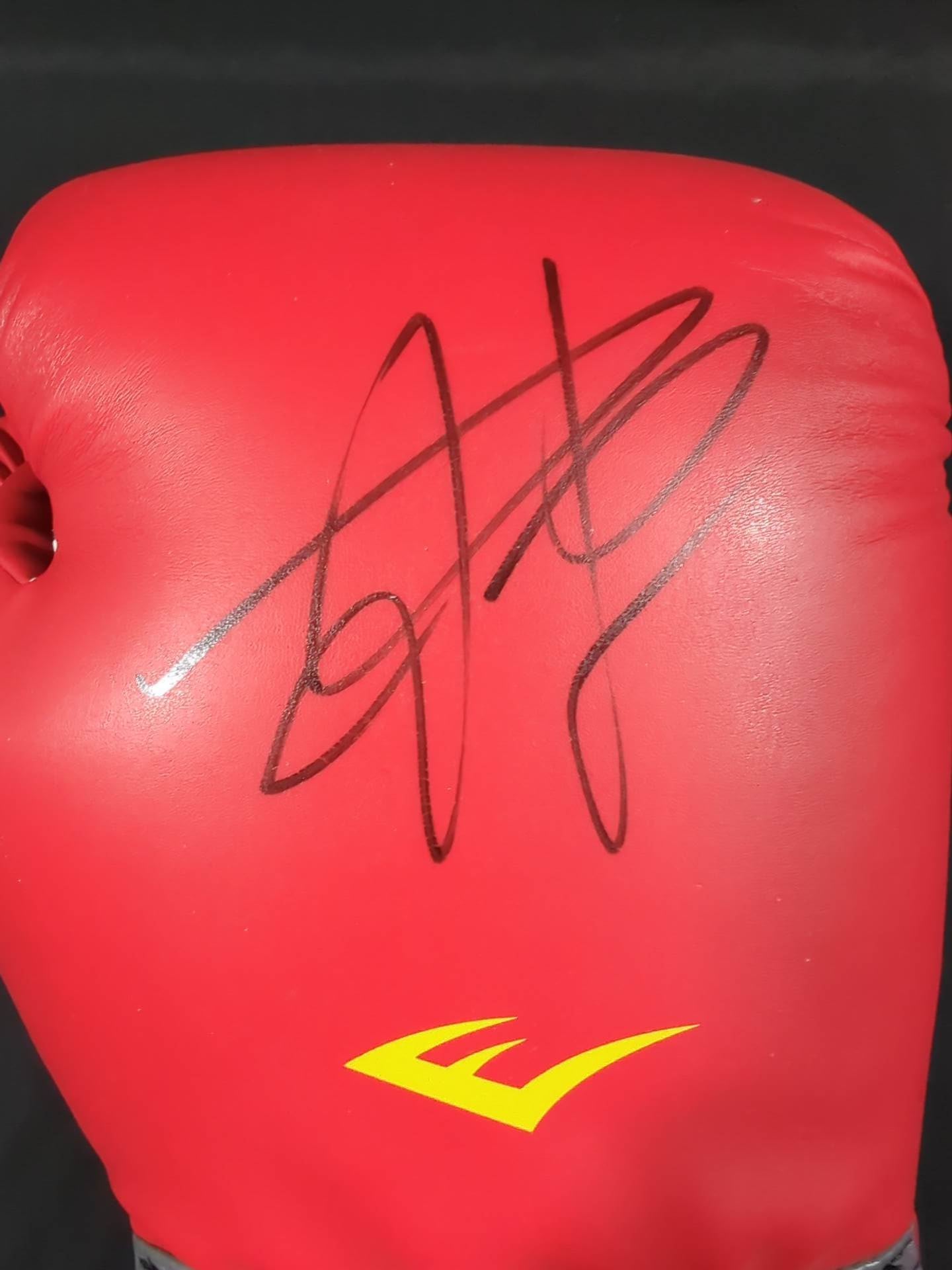 【Mikuru Asakura  hand signed autograph 】Made by EVERLAST Punching Gloves