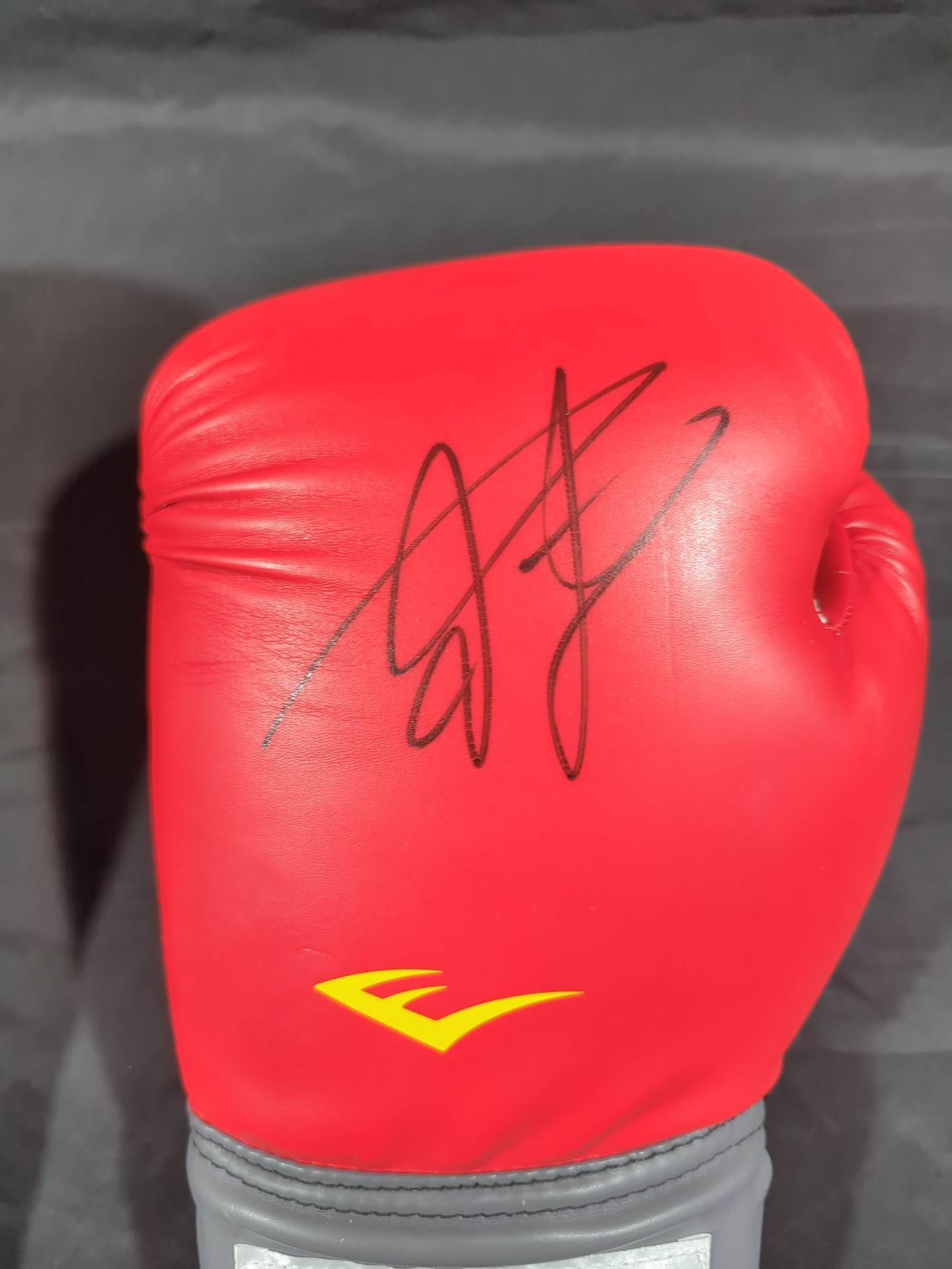 【Mikuru Asakura  hand signed autograph 】Made by EVERLAST Punching Gloves