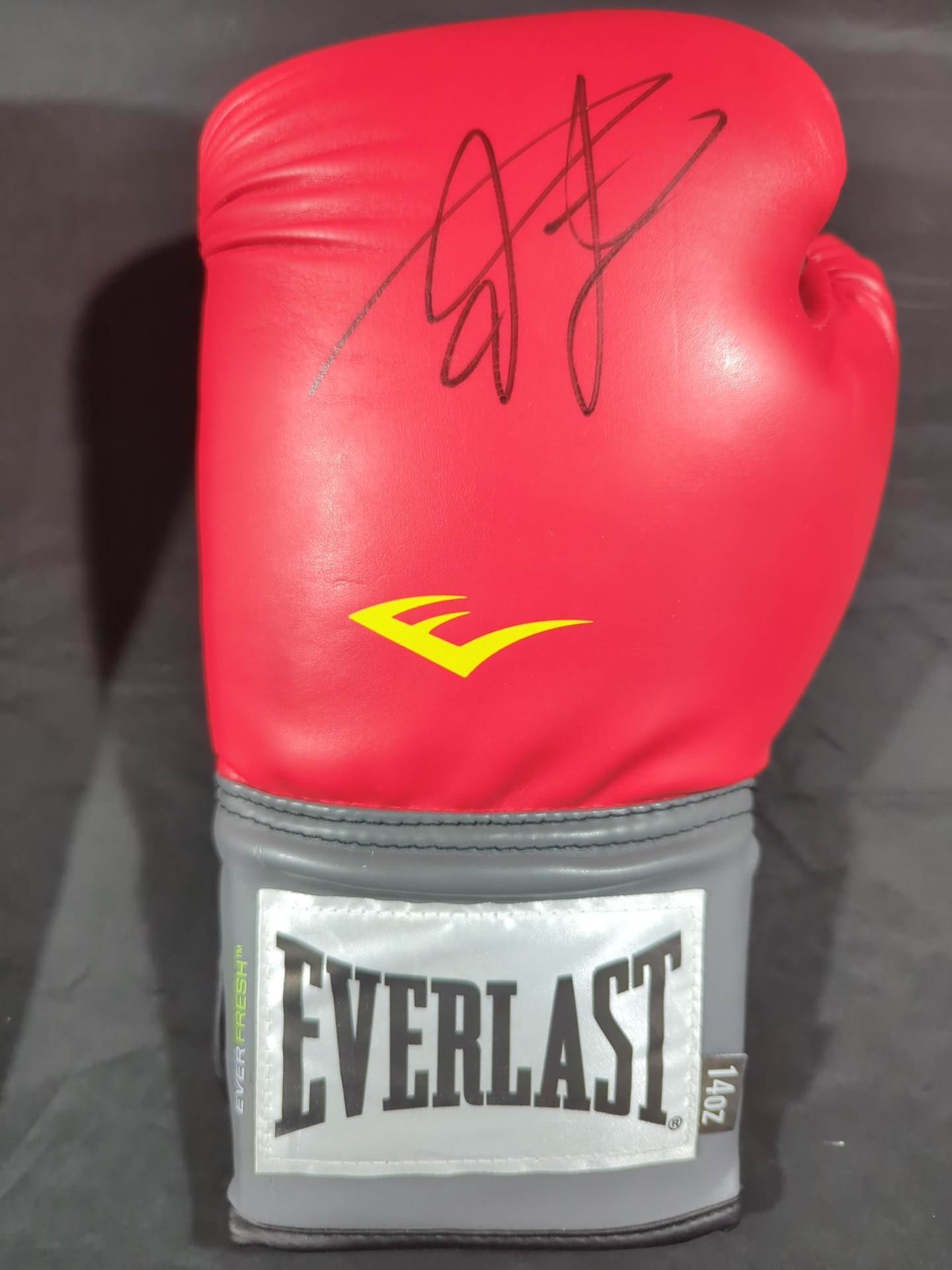 【Mikuru Asakura  hand signed autograph 】Made by EVERLAST Punching Gloves