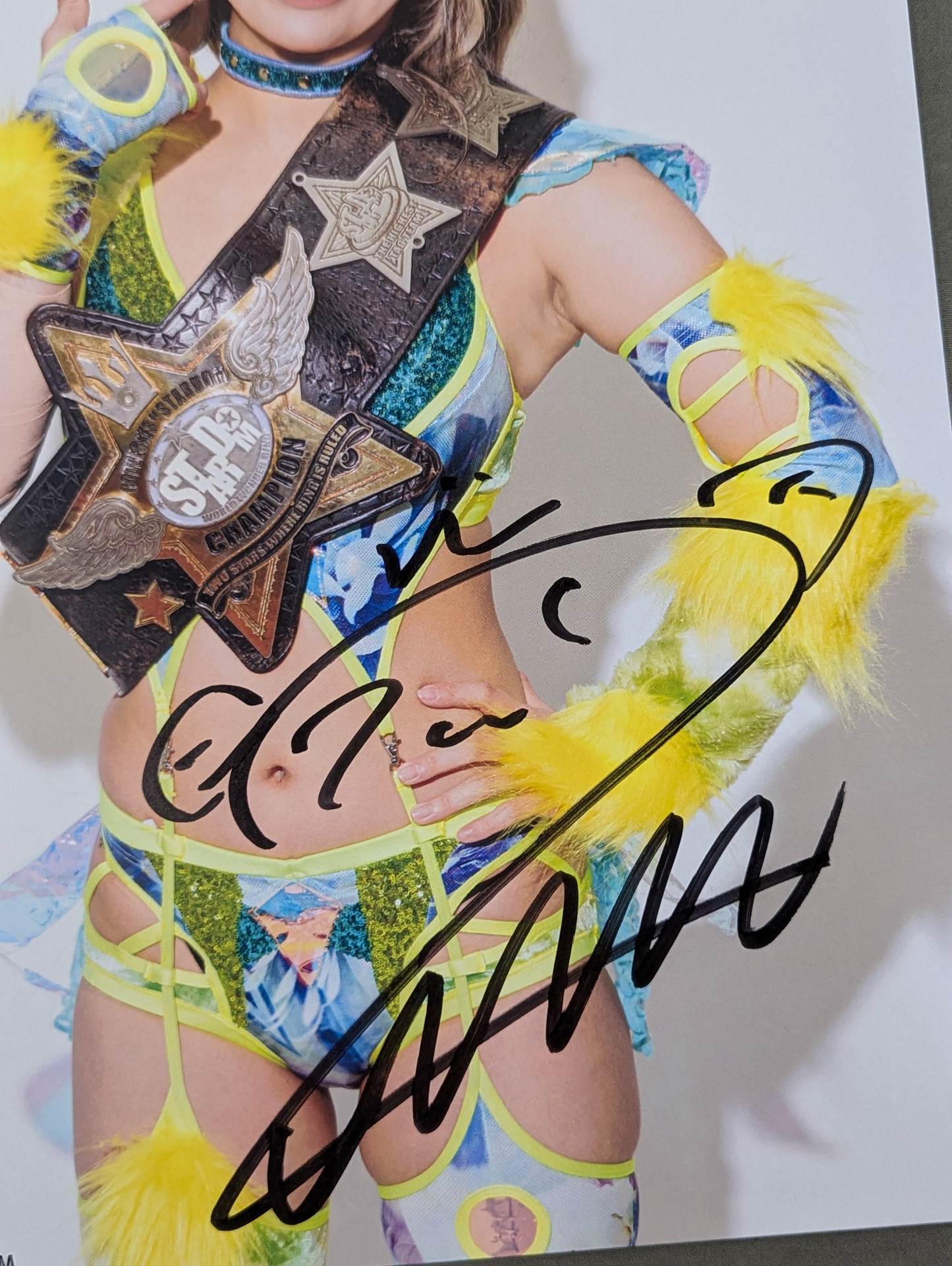 羽南 直筆サイン入り スターダムポートレート(E-5) – 闘道館