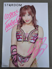 白川未奈　メッセージ　ポートレート　コンプリート 白川未奈 メッセージ ポートレート コンプリート