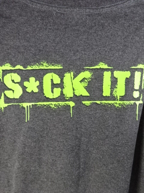 D-GENERATION X ロゴTシャツ①(WWE(2007) / グレー)