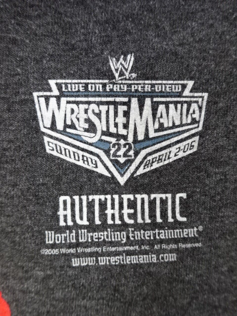 MNM Tシャツ②(WWE(2005) / グレー)