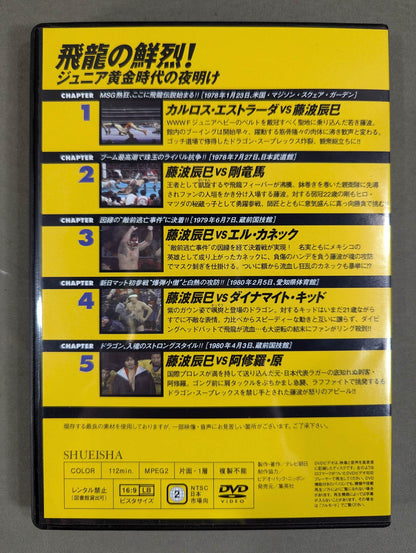 燃えろ!新日本プロレス vol.28