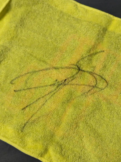 【直筆サイン入り】土井成樹 復帰記念 応援タオル