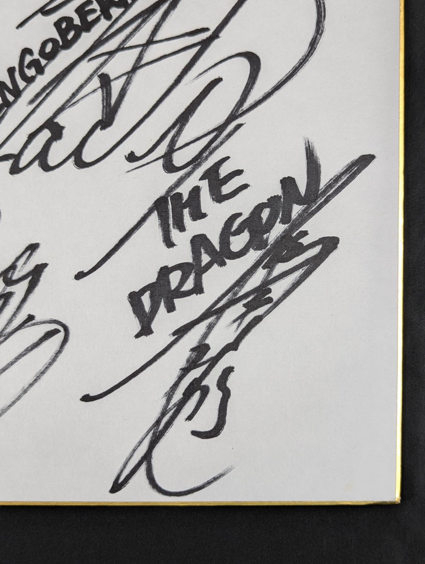 ☆LOS INGOBERNABLES de JAPON☆ 5選手寄せ書き – 闘道館