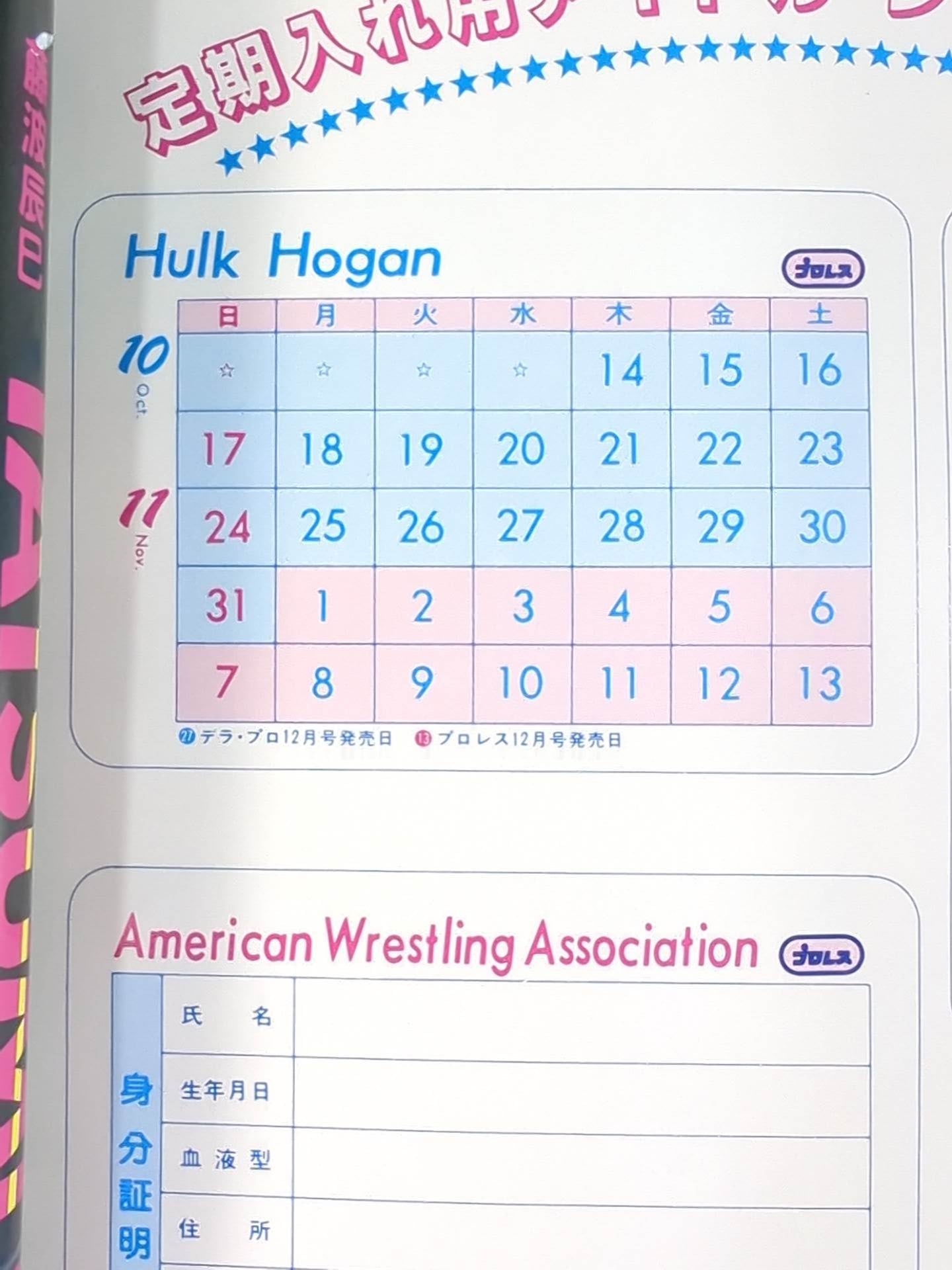 Hulk Hogan  Wrestler Cards(1)