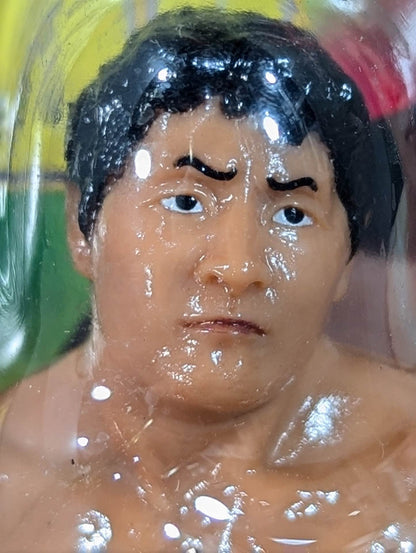 前田日明(赤リストバンド)