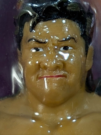 Satoshi Kojima 