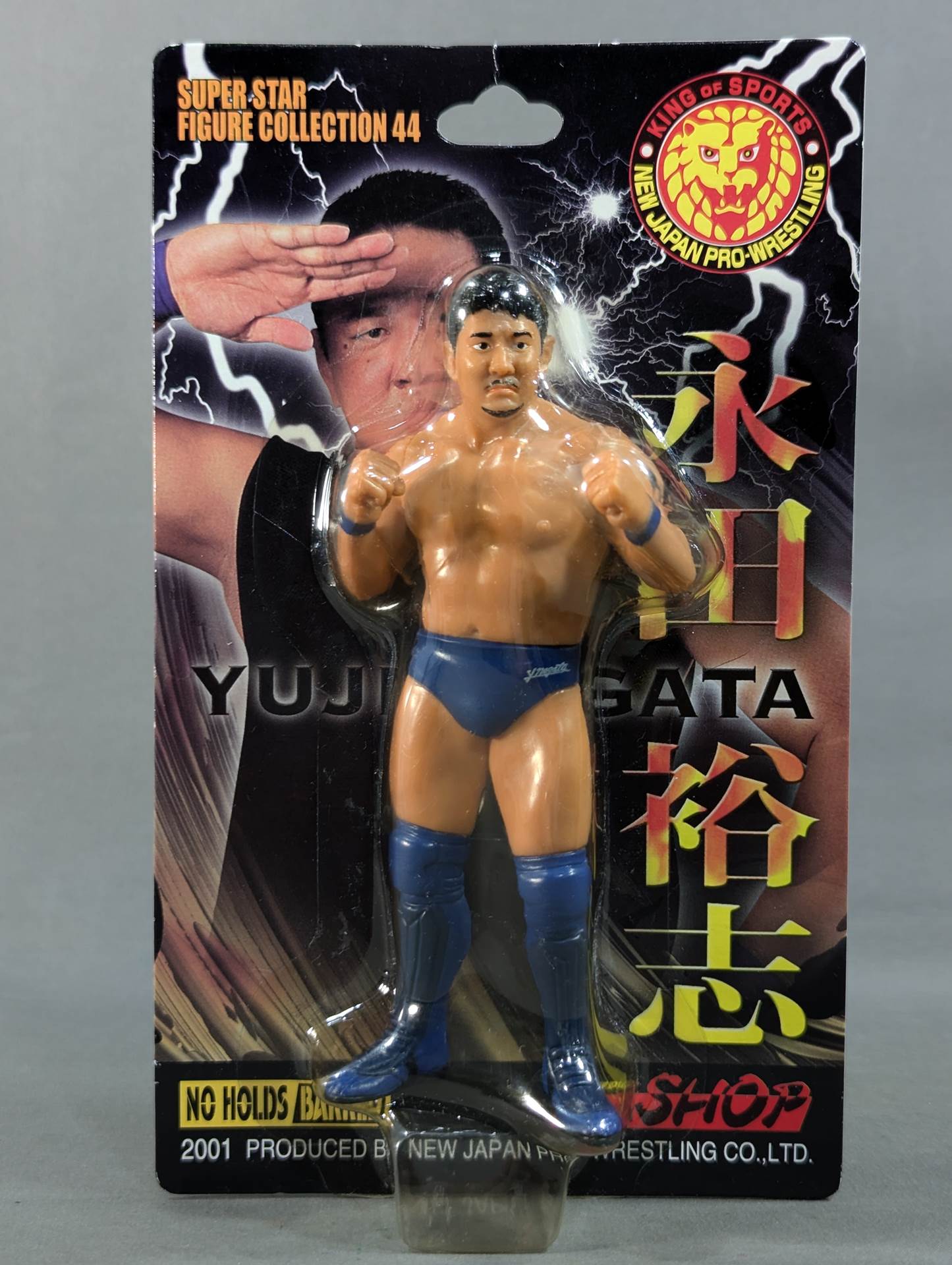 Yuji Nagata  (Be Ambitious Tights)