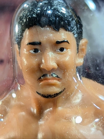 Yuji Nagata  (Be Ambitious Tights)