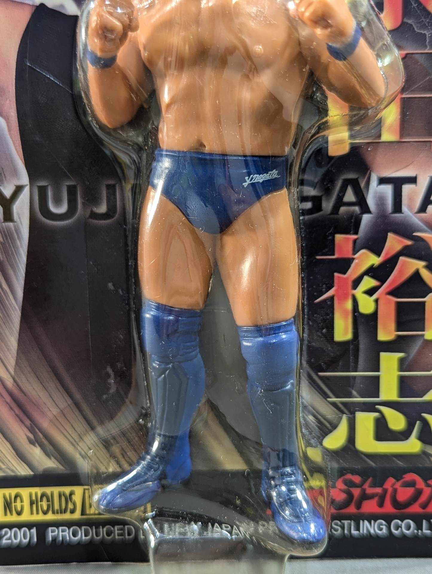 Yuji Nagata  (Be Ambitious Tights)