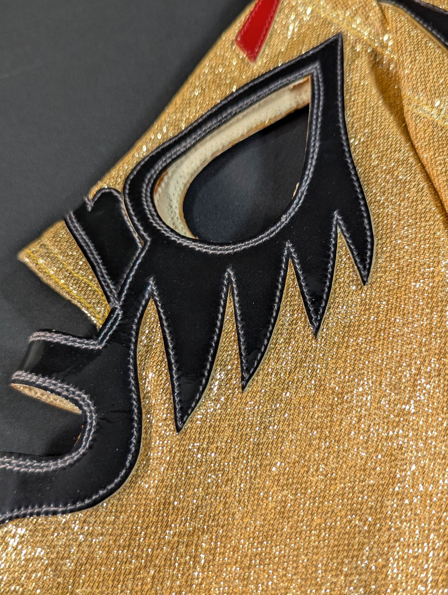 ミル・マスカラス – 闘道館