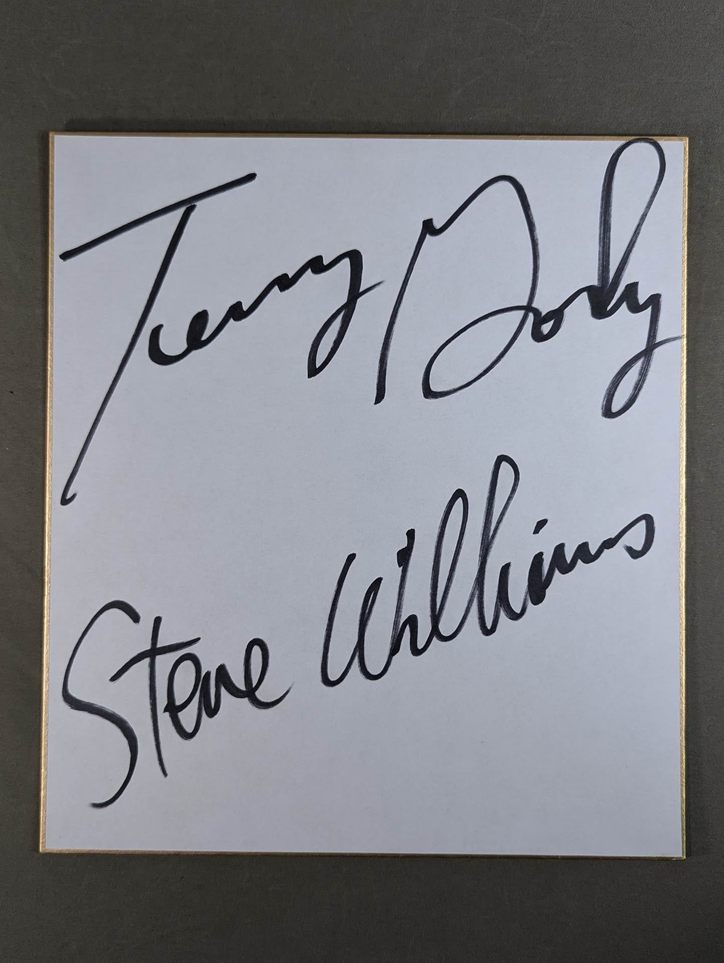 ★殺人魚雷コンビ★ テリー・ゴディ＆スティーブ・ウィリアムス