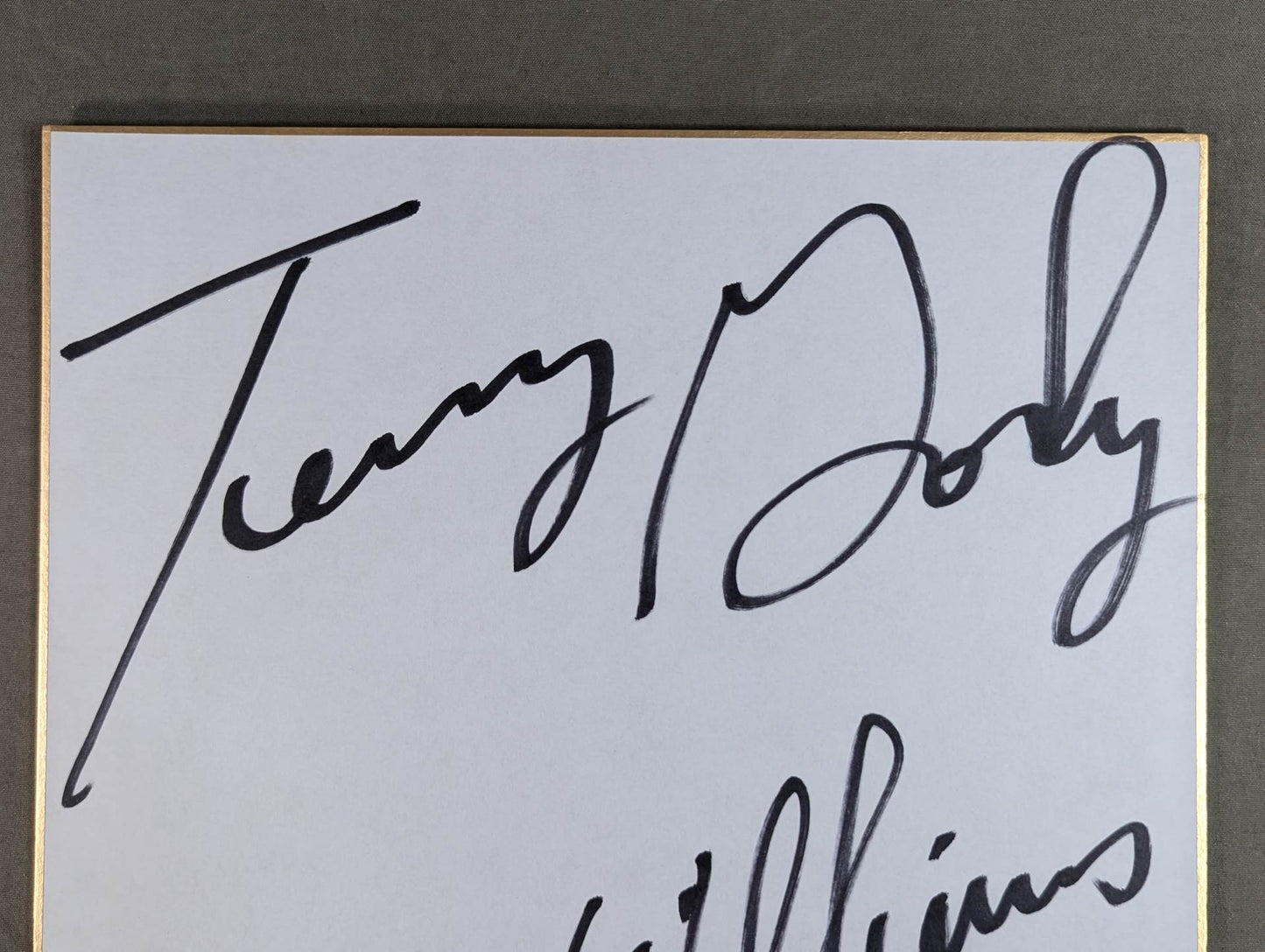 ★殺人魚雷コンビ★ テリー・ゴディ＆スティーブ・ウィリアムス