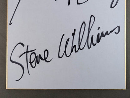 ★殺人魚雷コンビ★ テリー・ゴディ＆スティーブ・ウィリアムス