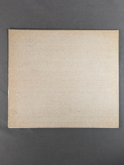 前田明(日明)＆坂口征二