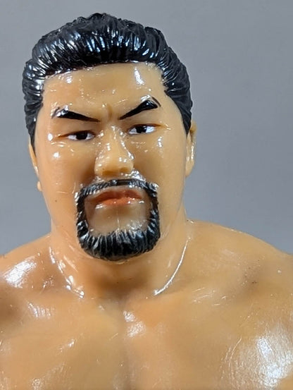 佐々木健介(水色)＆北斗晶(白×黒)