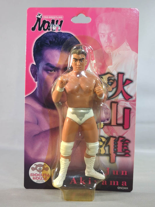 Jun Akiyama (Fighting Pose)