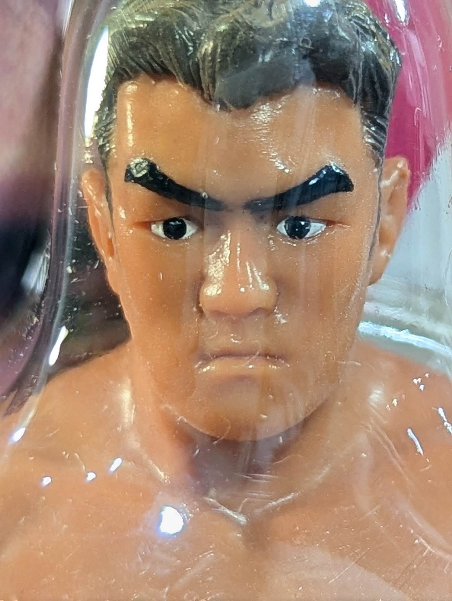 Jun Akiyama (Fighting Pose)