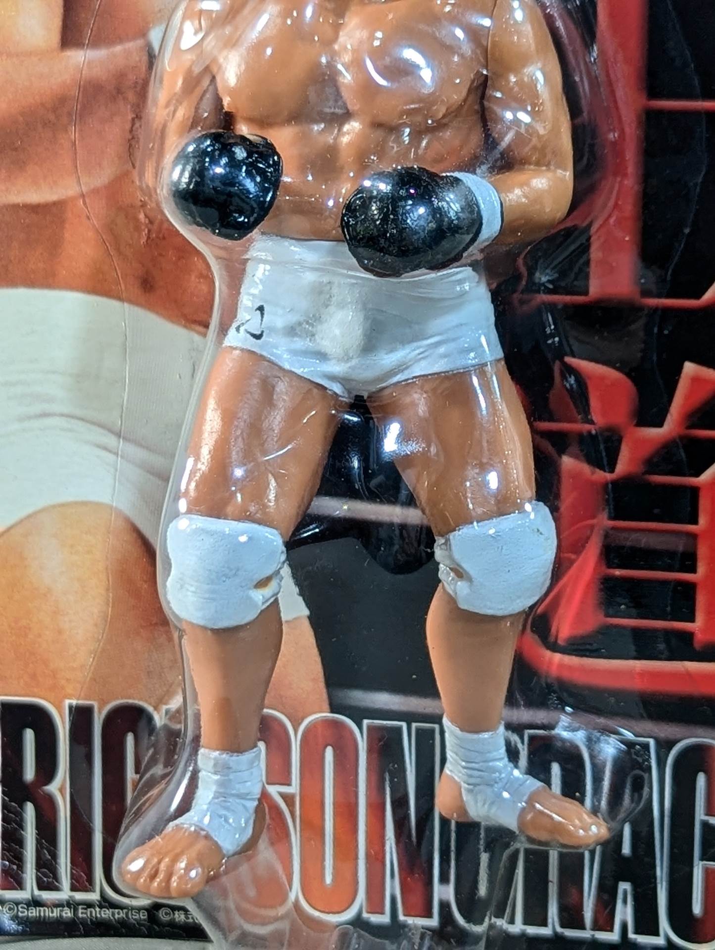 ヒクソン・グレイシー(武士道・白ニーパッド) – 闘道館