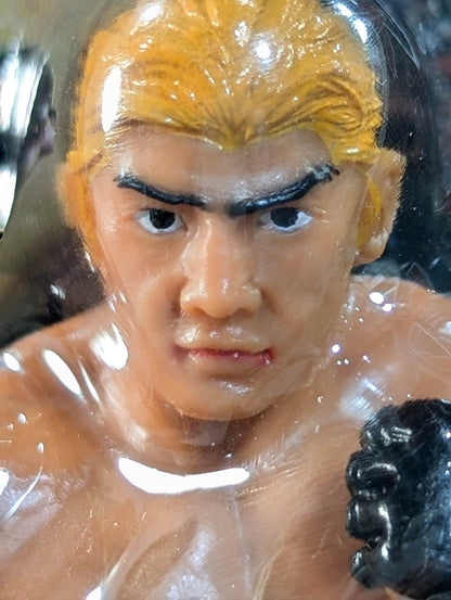 船木誠勝(金髪MMA)