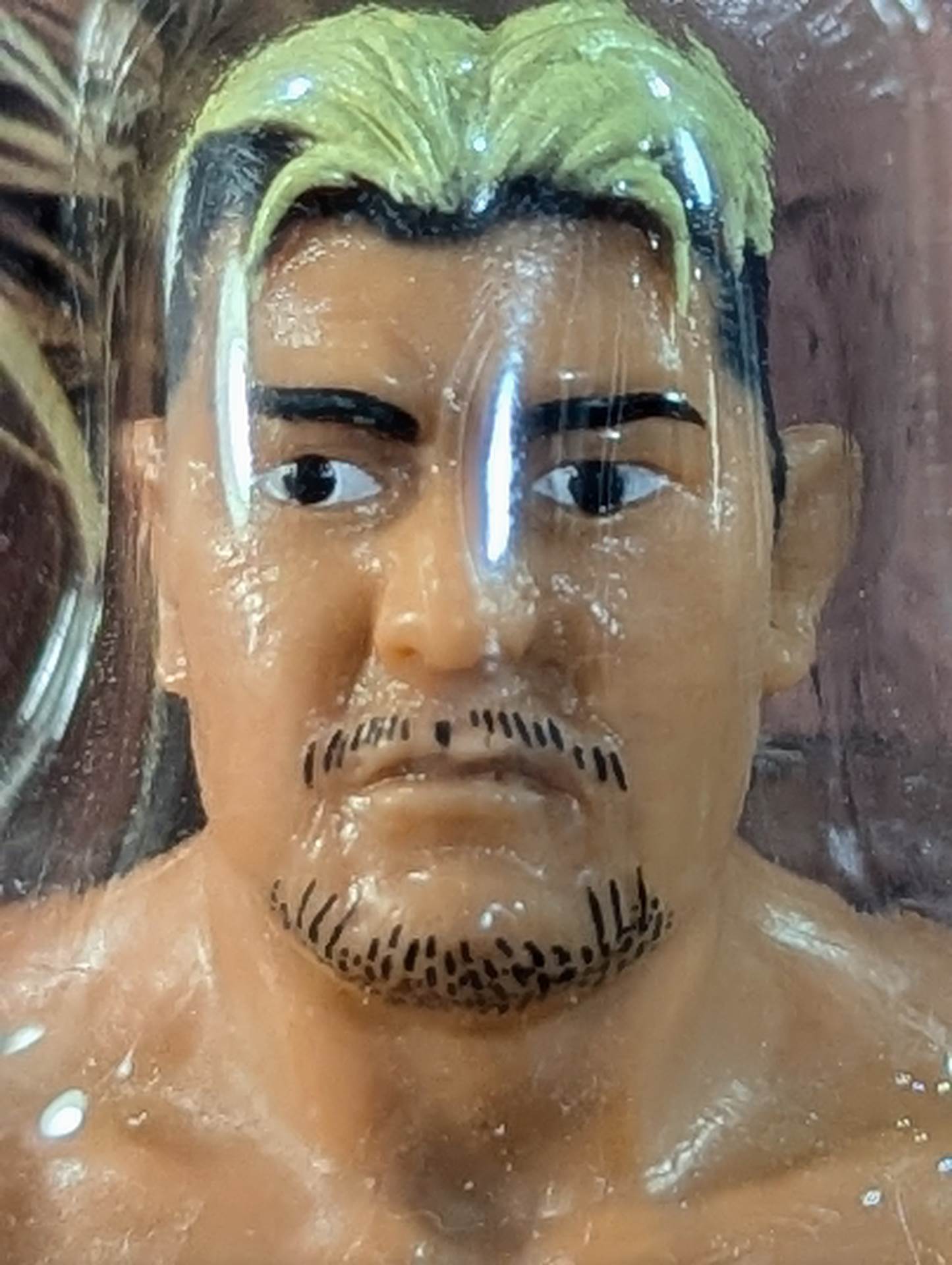 Takao Omori  (Fighting Pose)