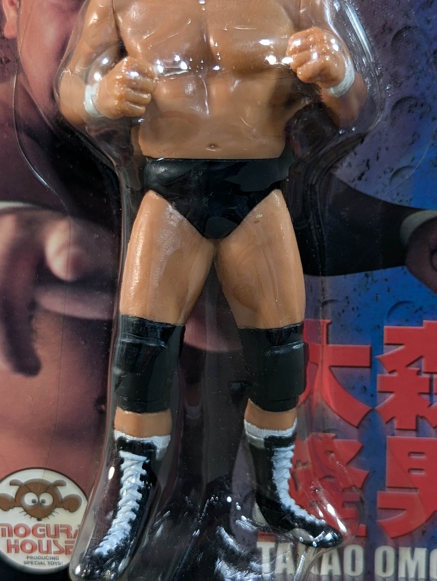 Takao Omori  (Fighting Pose)