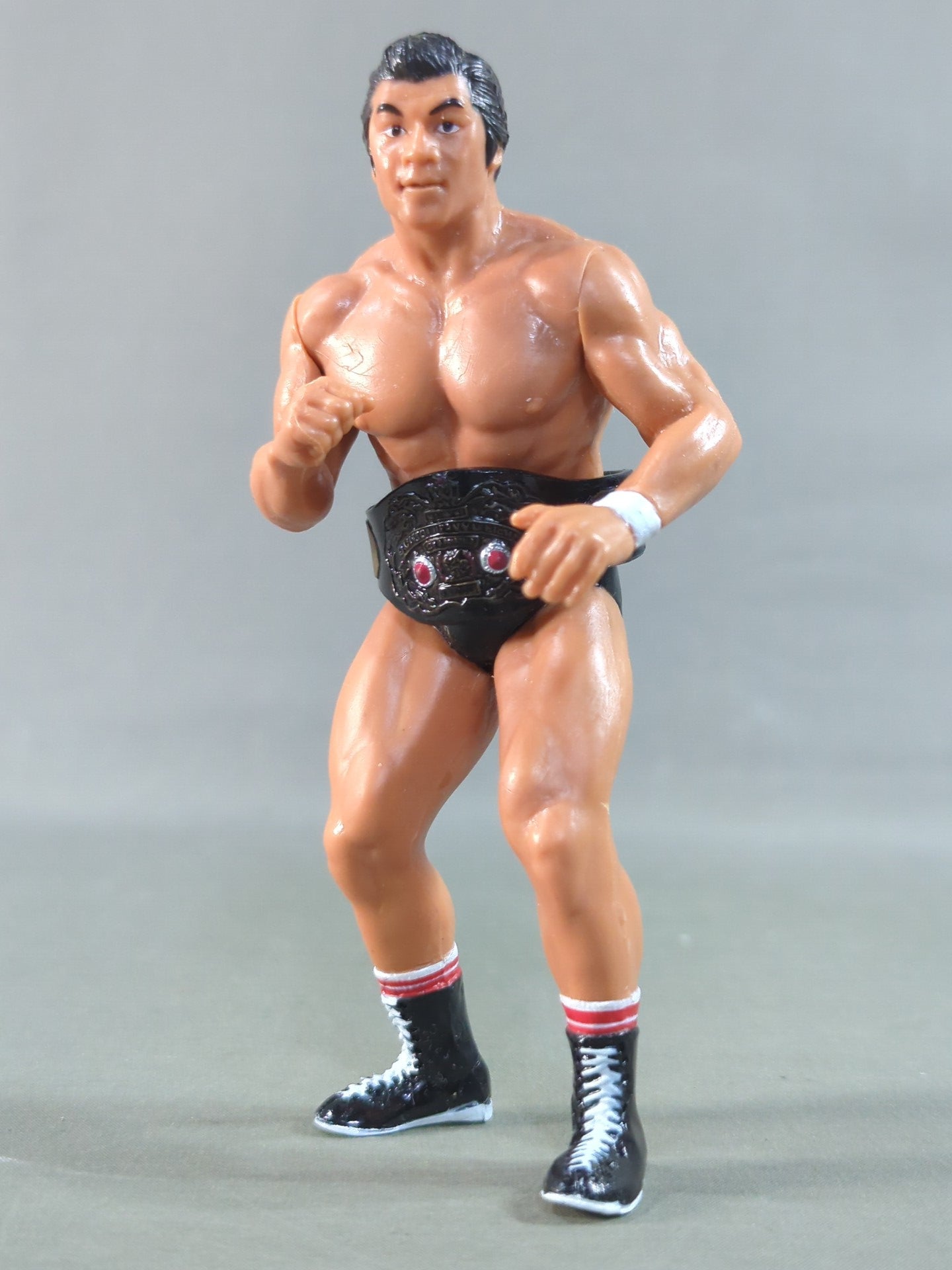 藤波辰巳(WWWFジュニア・ヘビー級ベルト)