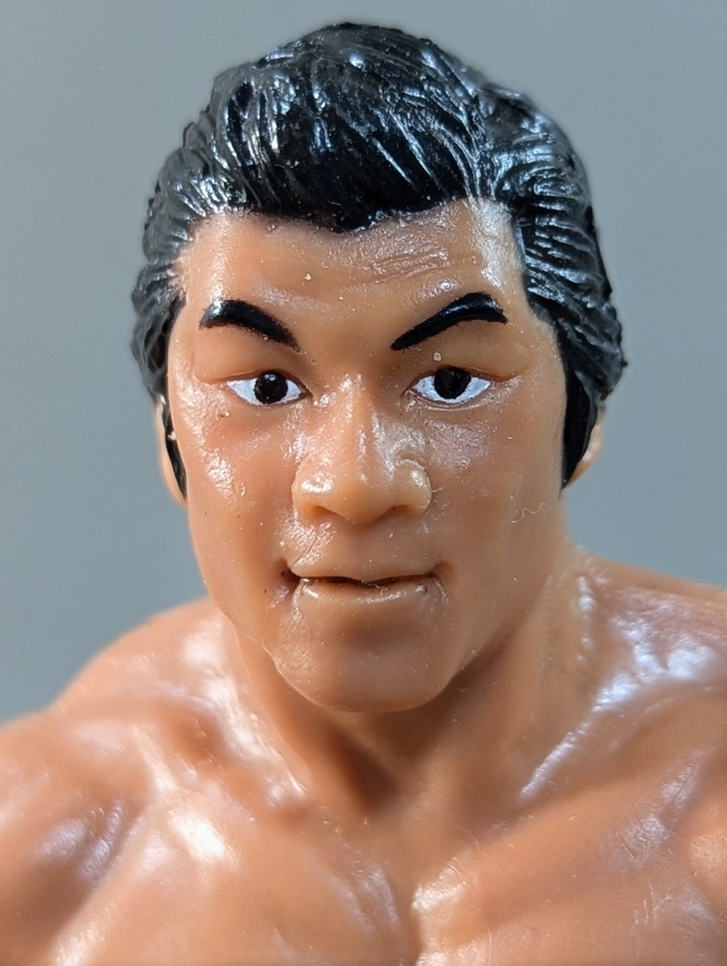 藤波辰巳(WWWFジュニア・ヘビー級ベルト)